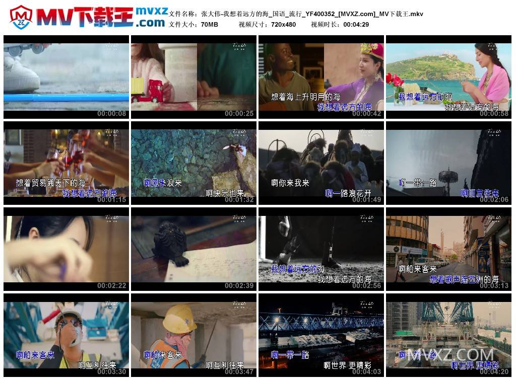 张大伟-我想着远方的海_国语_流行_YF400352